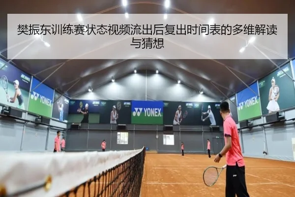 樊振东训练赛状态视频流出后复出时间表的多维解读与猜想